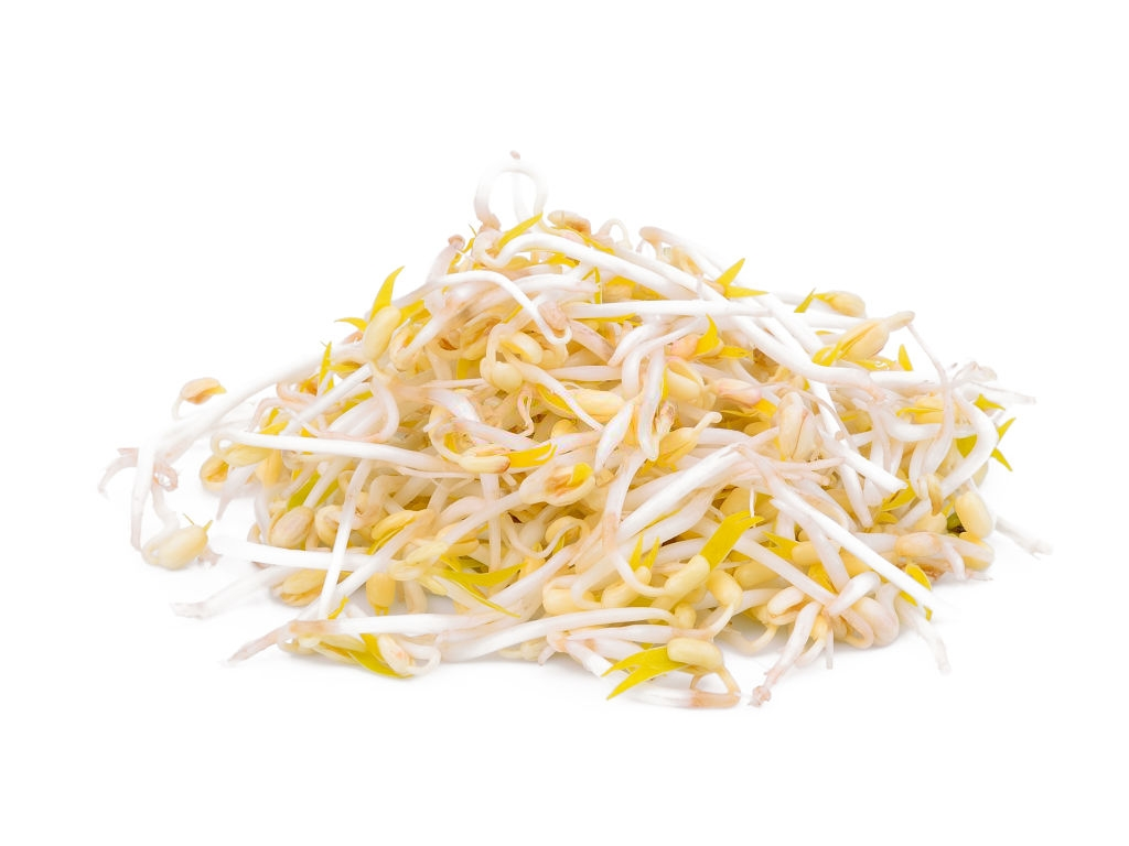 [VER-DIEN-DRAG-1KG] Diente de Dragón 1Kg