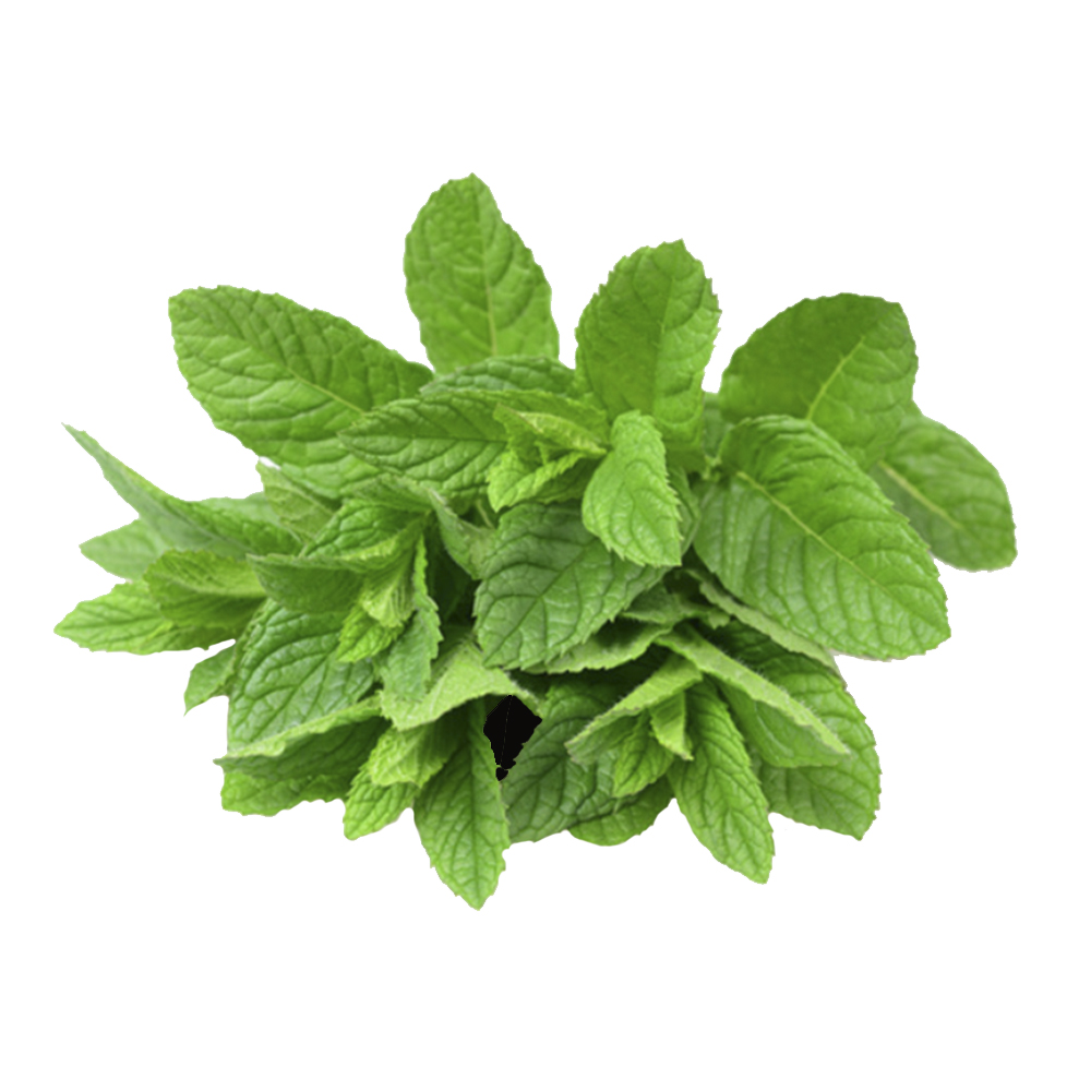 [VER-MENT-1KG] Menta 1Kg