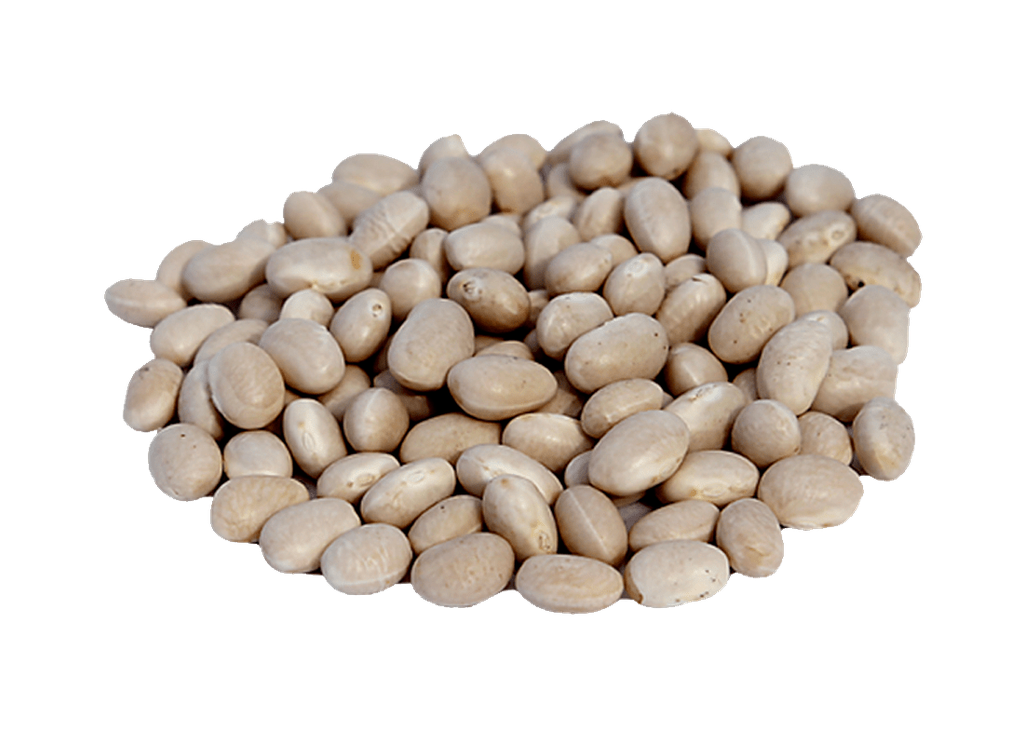 [PorTor-01] Poroto Tórtola 1Kg