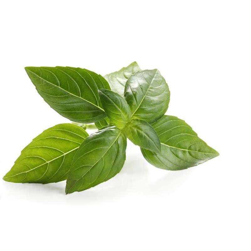 [VER-ALB-150G] Albahaca 150g