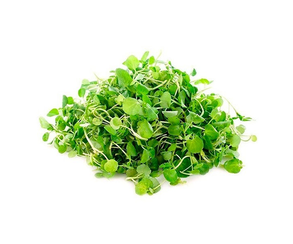 [VER-BERR-200G] Berro 200g