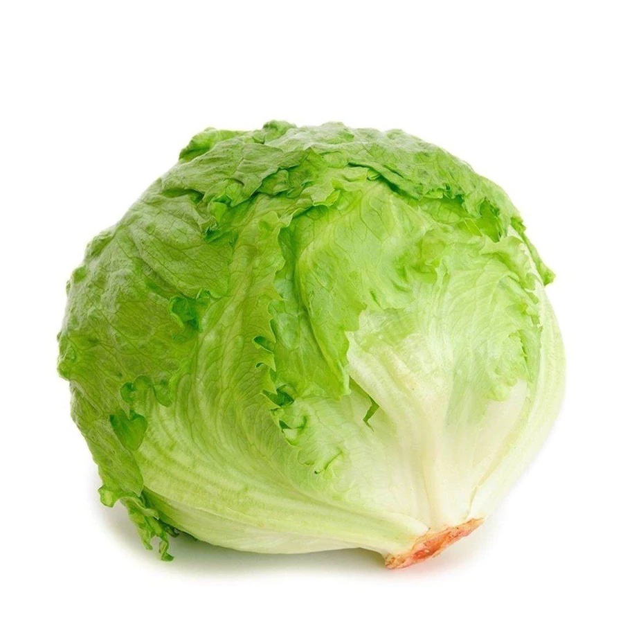 [VER-LECH-ESC-1] Lechuga Escarola 1UN