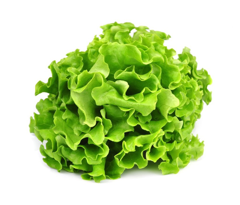 [VER-LECH-MAR-1] Lechuga Marina 1UN