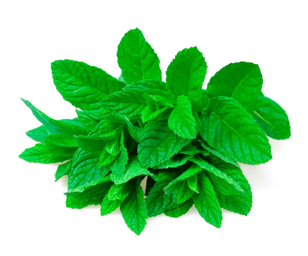 [VER-MENT-200G] Menta 200g